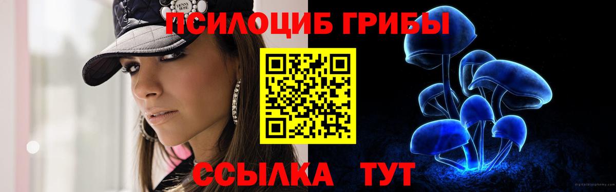 Псилоцибиновые грибы ЛСД  Вход с VPN  купить   Камень-на-Оби 